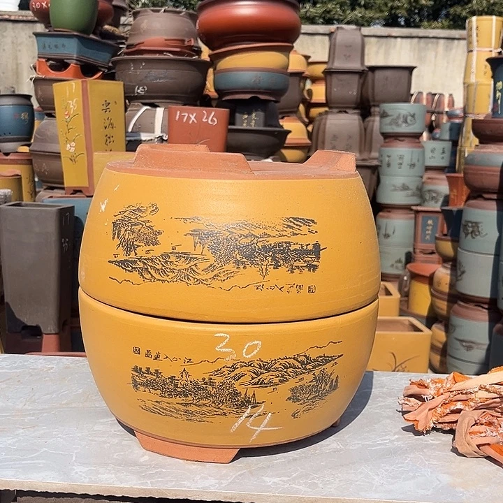 紫砂盆栽花卉栽培