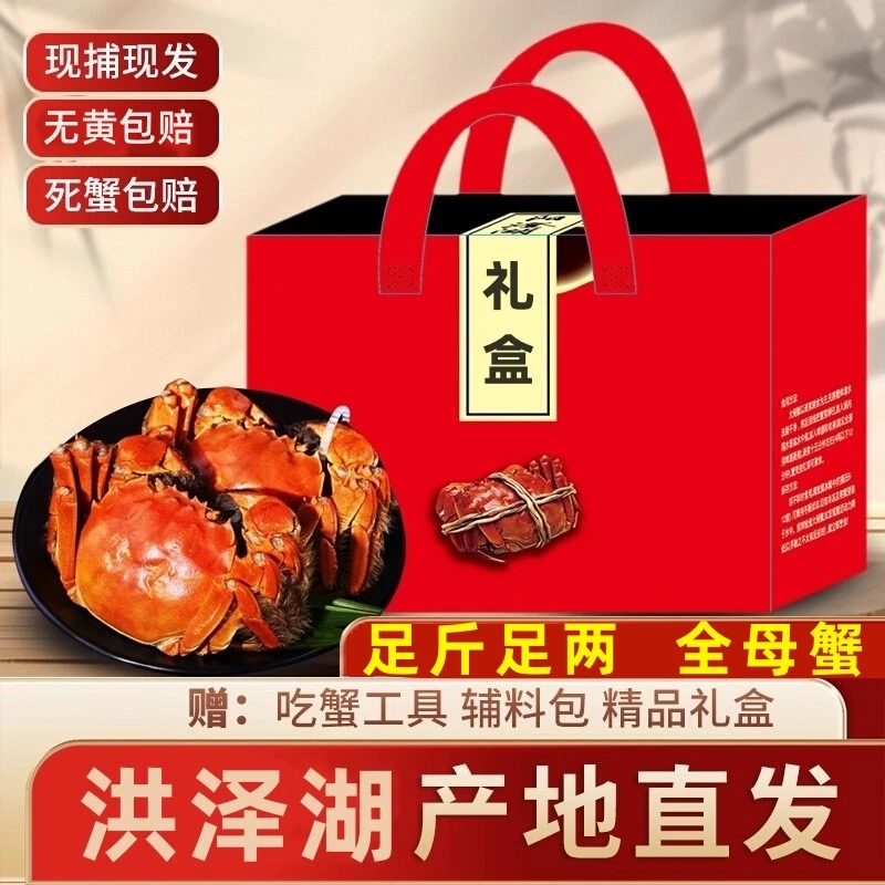 【活蟹现发】江苏大闸蟹全母蟹（㍚1-㍙8两）买8只再送2只 顺丰京东包邮