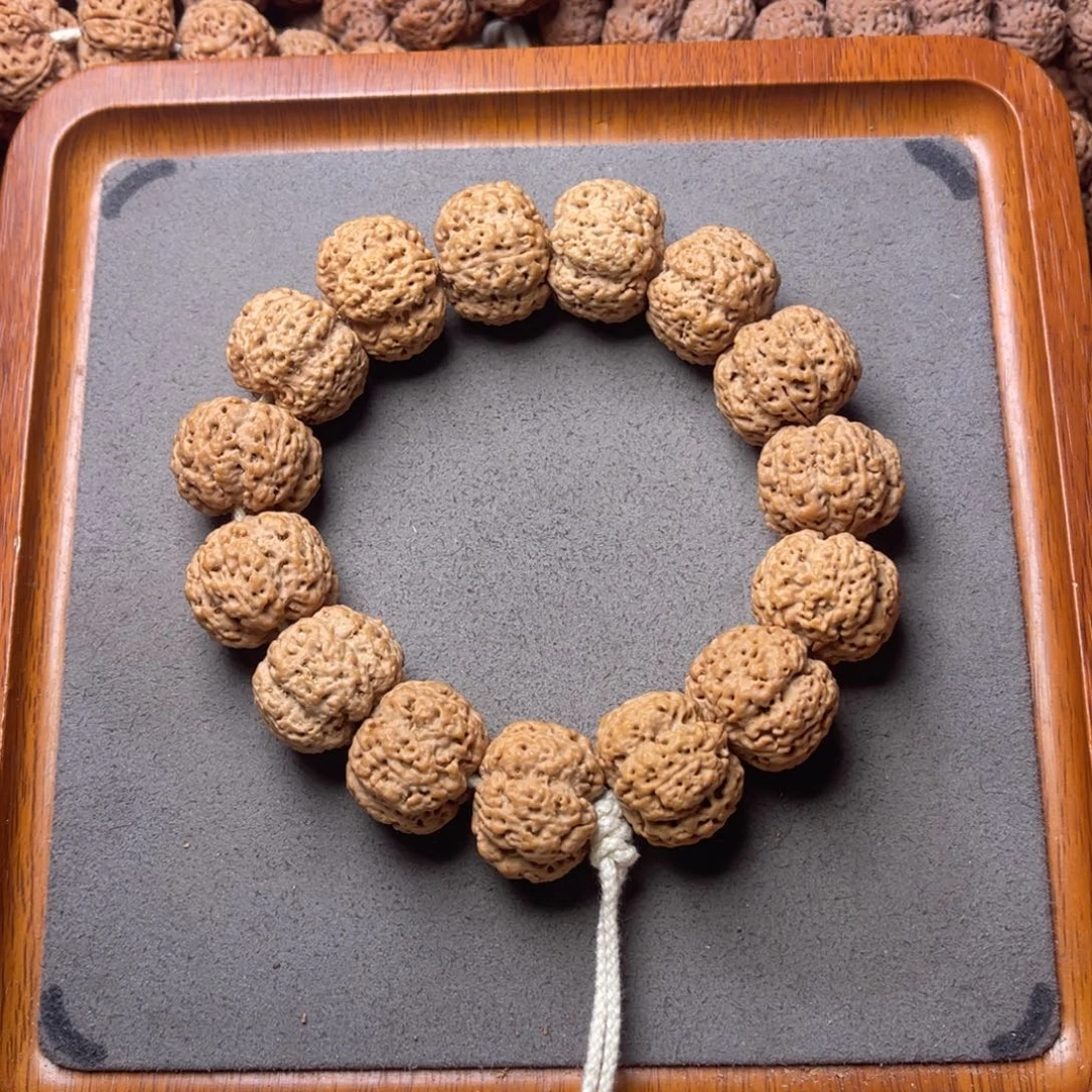 菩提籽类15号金刚菩提满肉梁梅花23