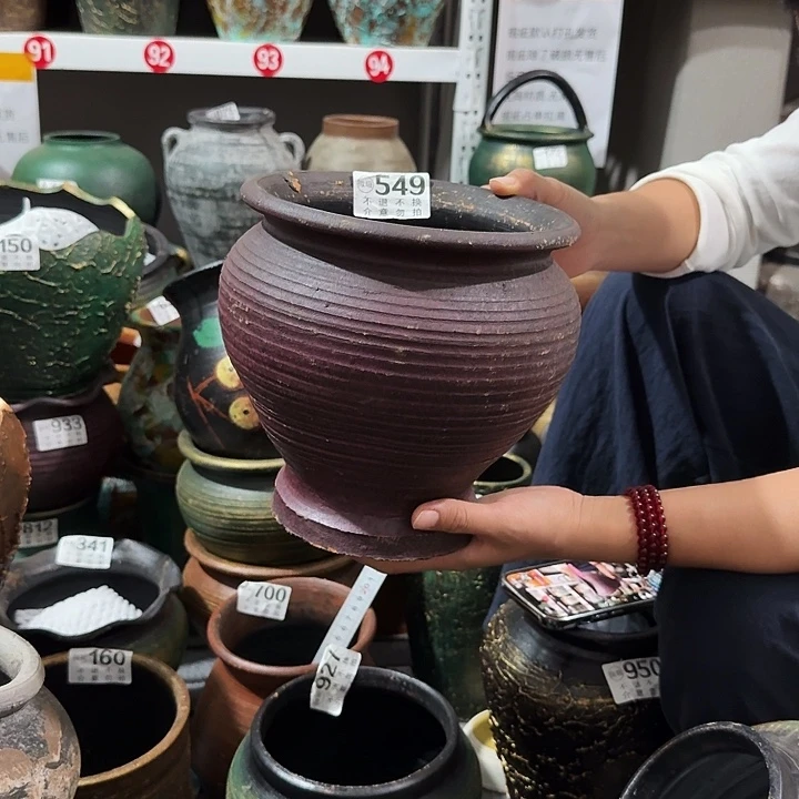紫色鱼尾高度19口径19