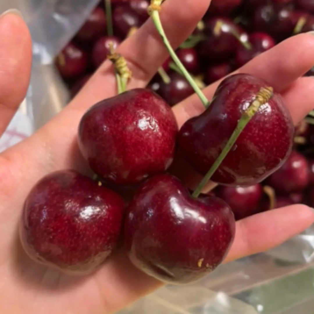JJJJ D加大超甜车厘子 28元/斤