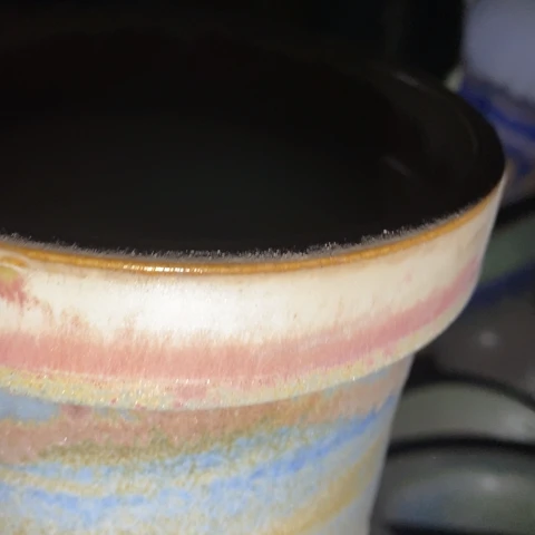 罐00160 微瑕38包邮景德镇陶瓷