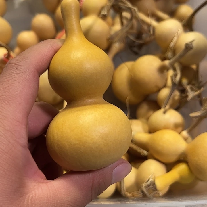 往***风有机玻璃蚂蚁蚂蚁蚂蚁蚂蚁