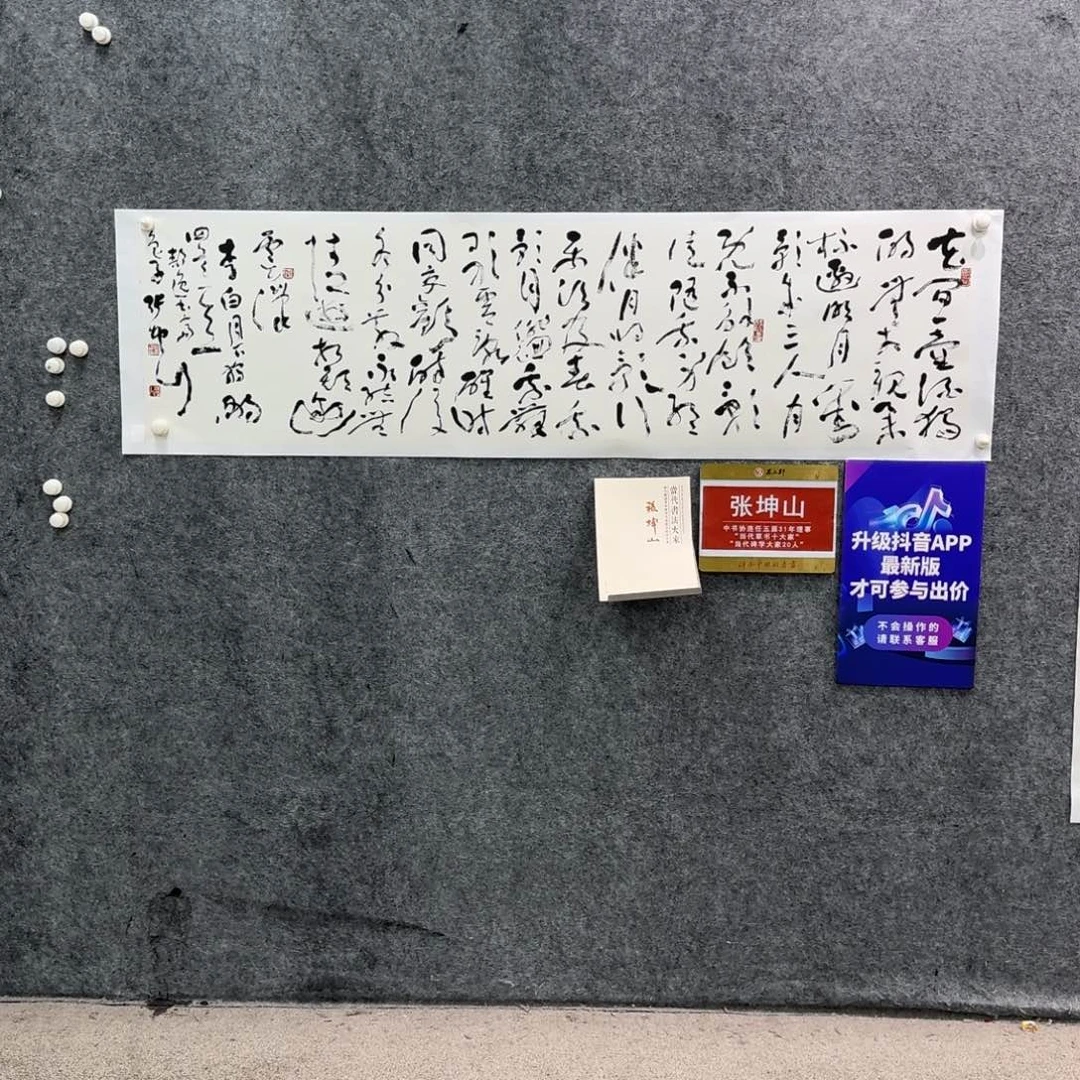 书法书法ZKS老师作品