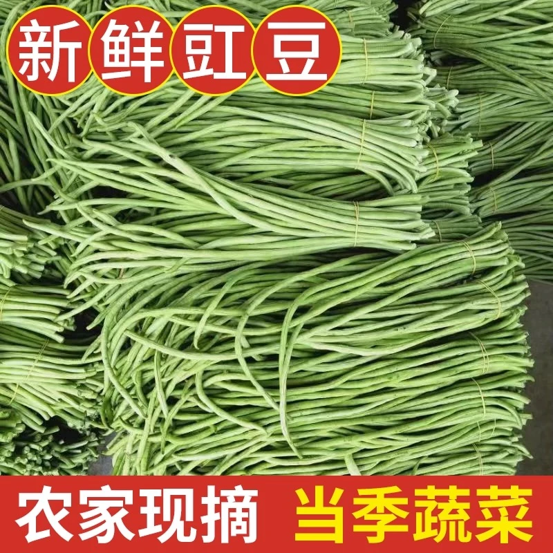 顺丰嫩短豇豆长新鲜农家本地当季现摘时令蔬菜新鲜菜豆农家菜