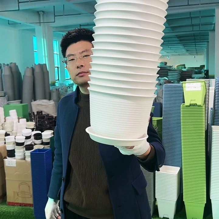 正品矮陶口21高15白色8只带托