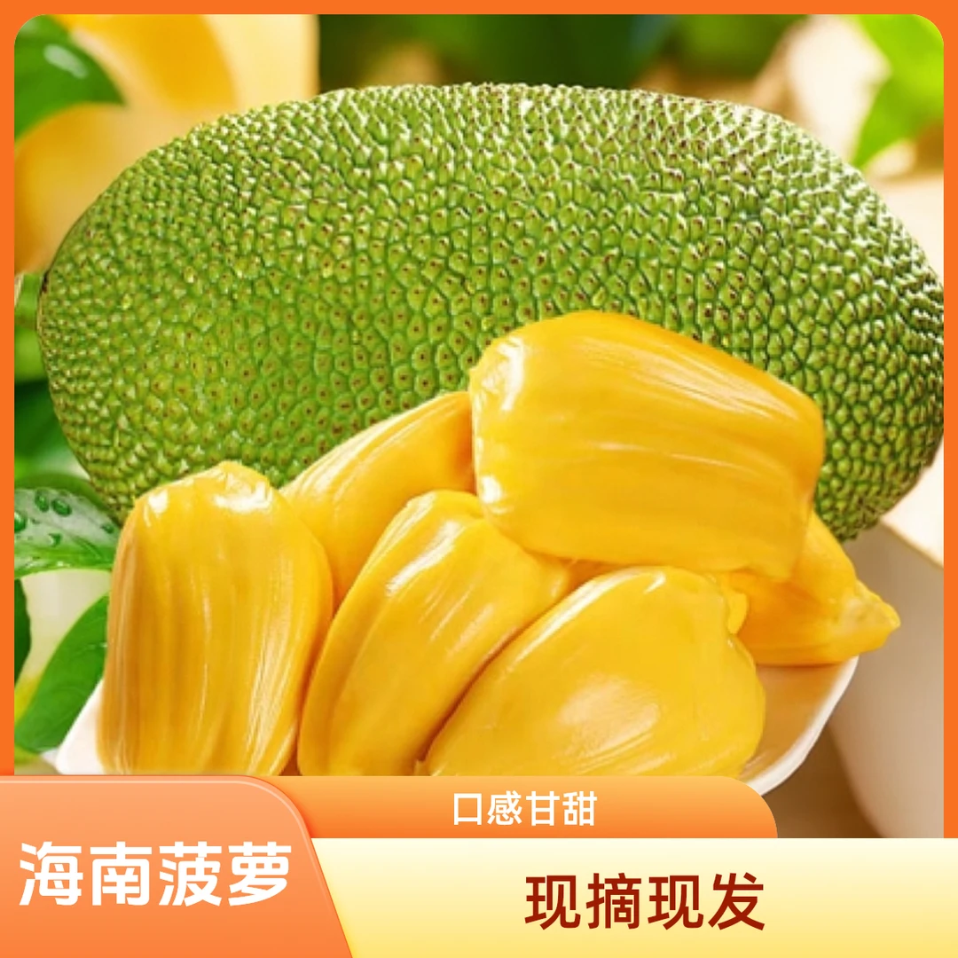 海南三亚现摘马来一号果树菠萝木菠萝坏多少赔多少收到辨别生熟吃
