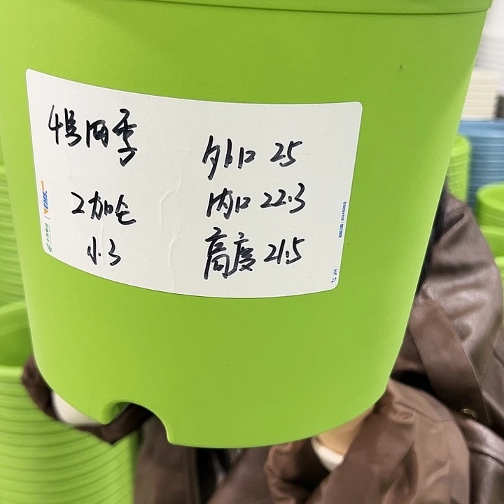 特价4号四季口25高21.5果绿无托8个