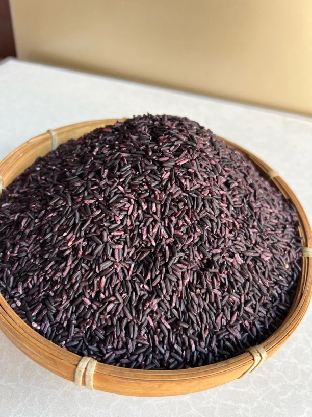 云南普洱墨江紫米（紫糯米）