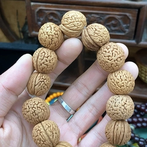 其他111111112222233