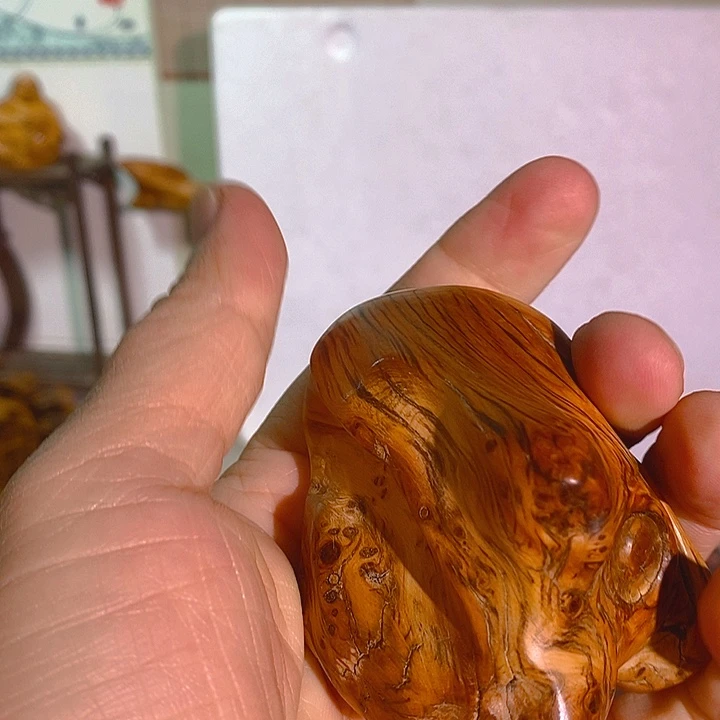 柏木（崖柏）菜*太行大峡谷崖柏