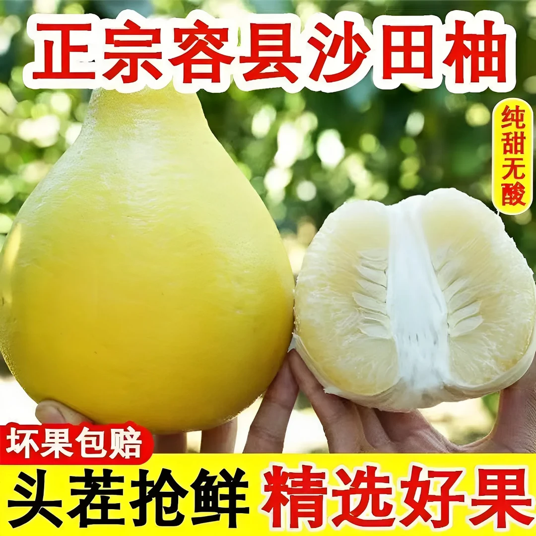 广西容县沙田柚正宗产地直发新鲜纯甜无酸多汁新鲜水果礼盒装