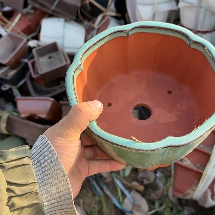 这一期太有意思咯好棒哦真的超级不错呀这个好期待