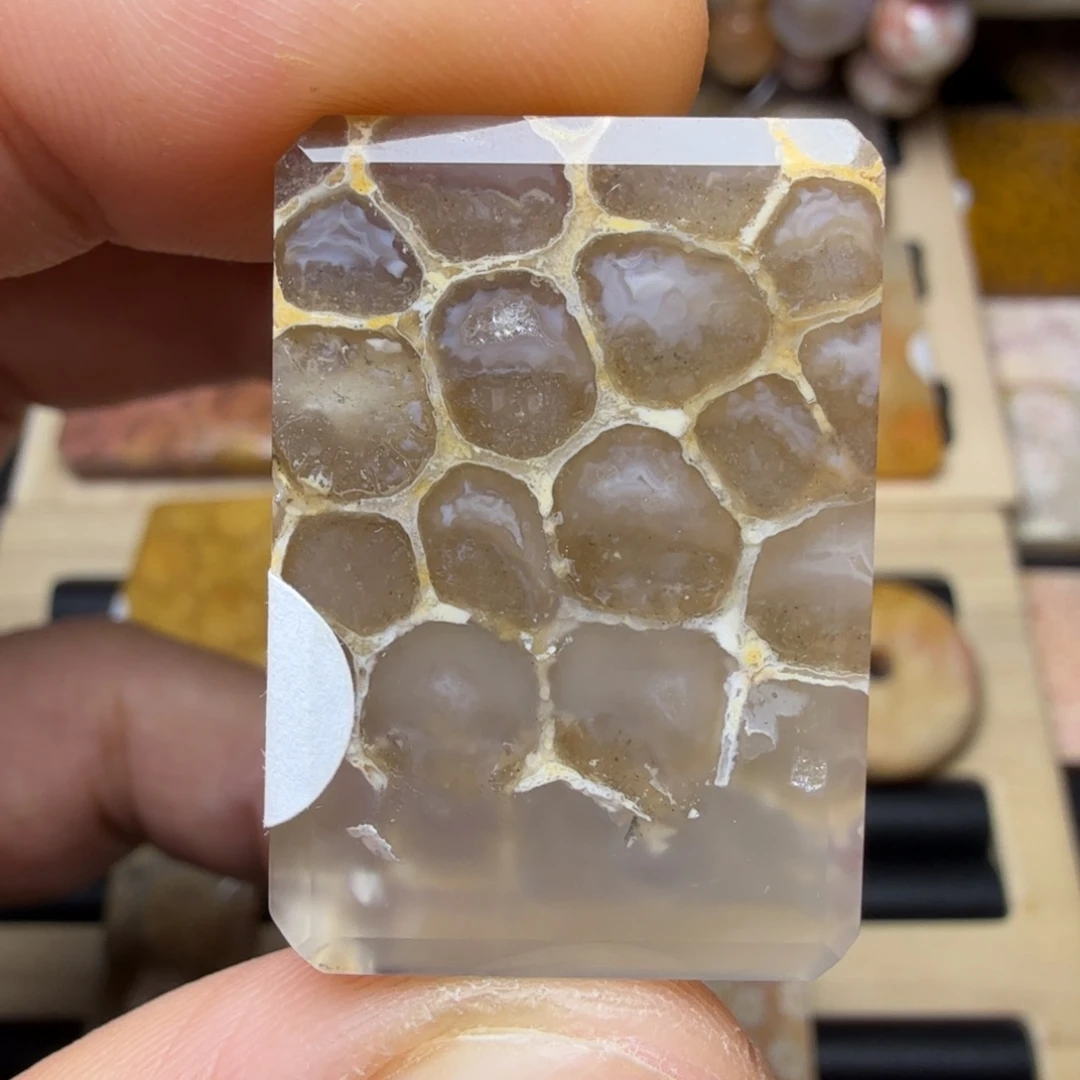 硅化玉未镶嵌纯天然色有机玉石保真色