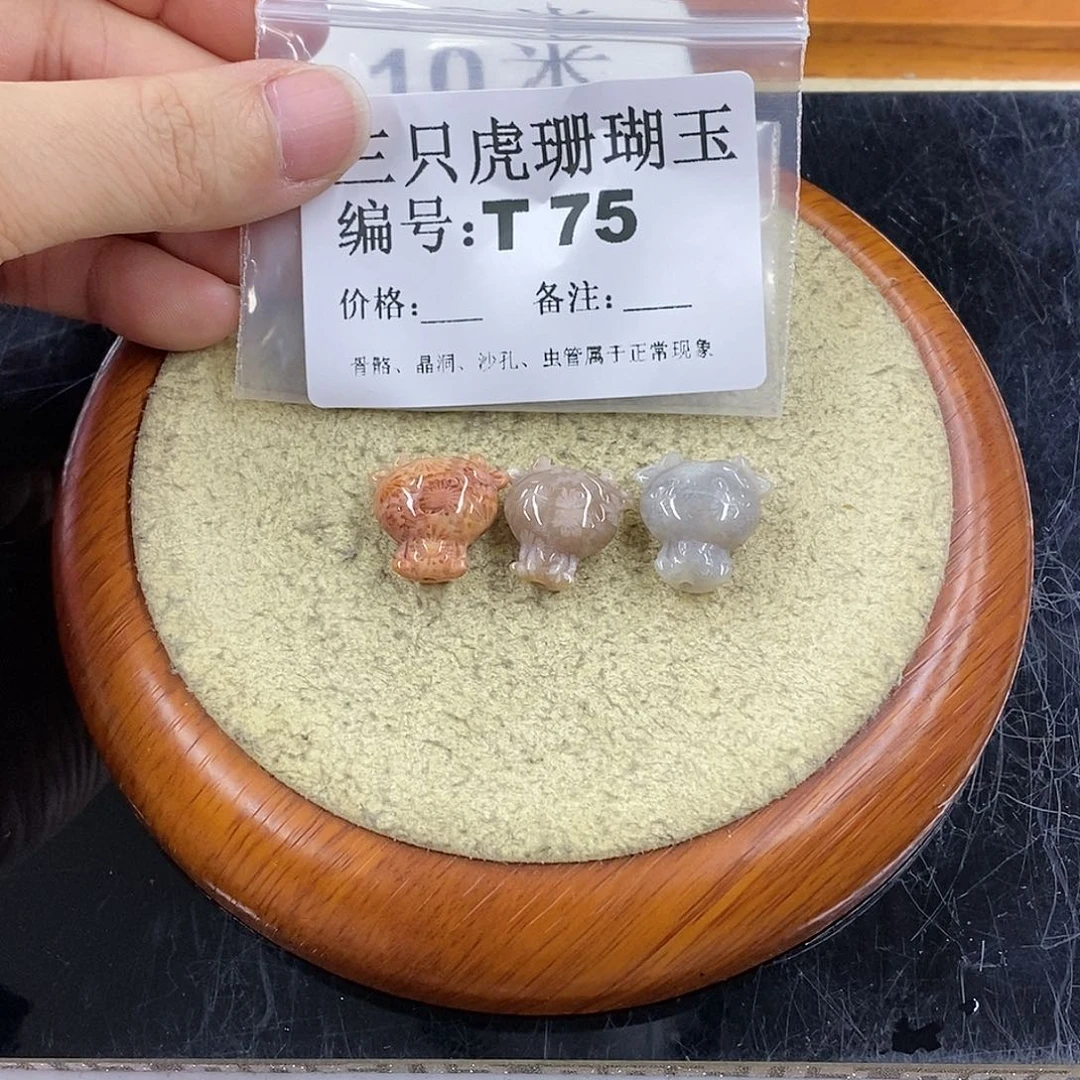 硅化珊瑚（珊瑚玉）1未镶嵌林*君
