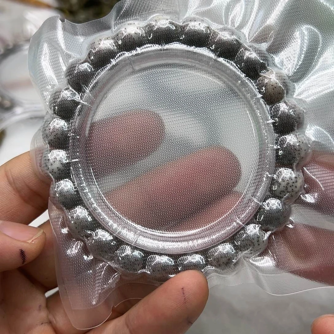 星月菩提手串35高端黑冰石玉星月菩提单圈10