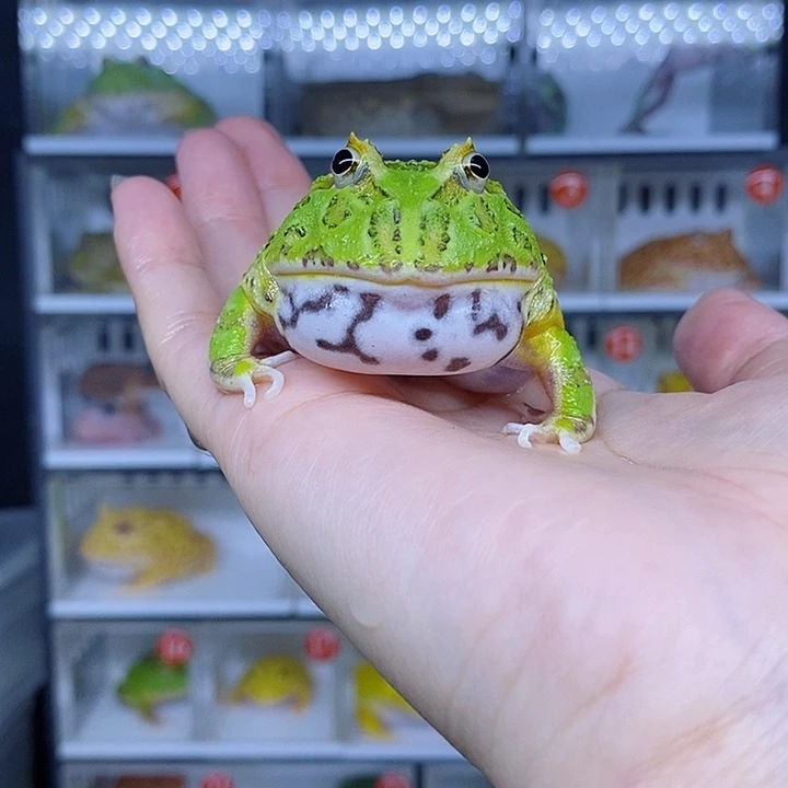 特价秒杀现货特价