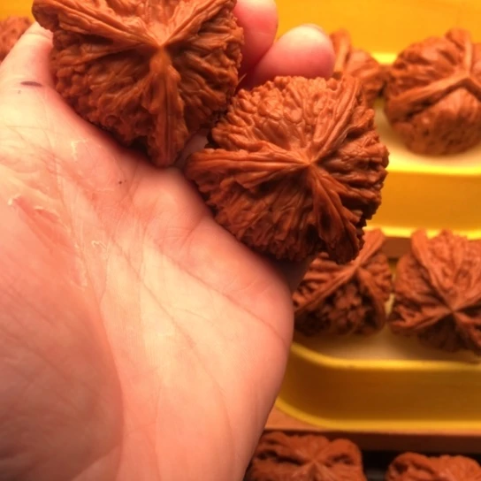 小***学文玩核桃吊坠核桃核桃核桃咯核桃