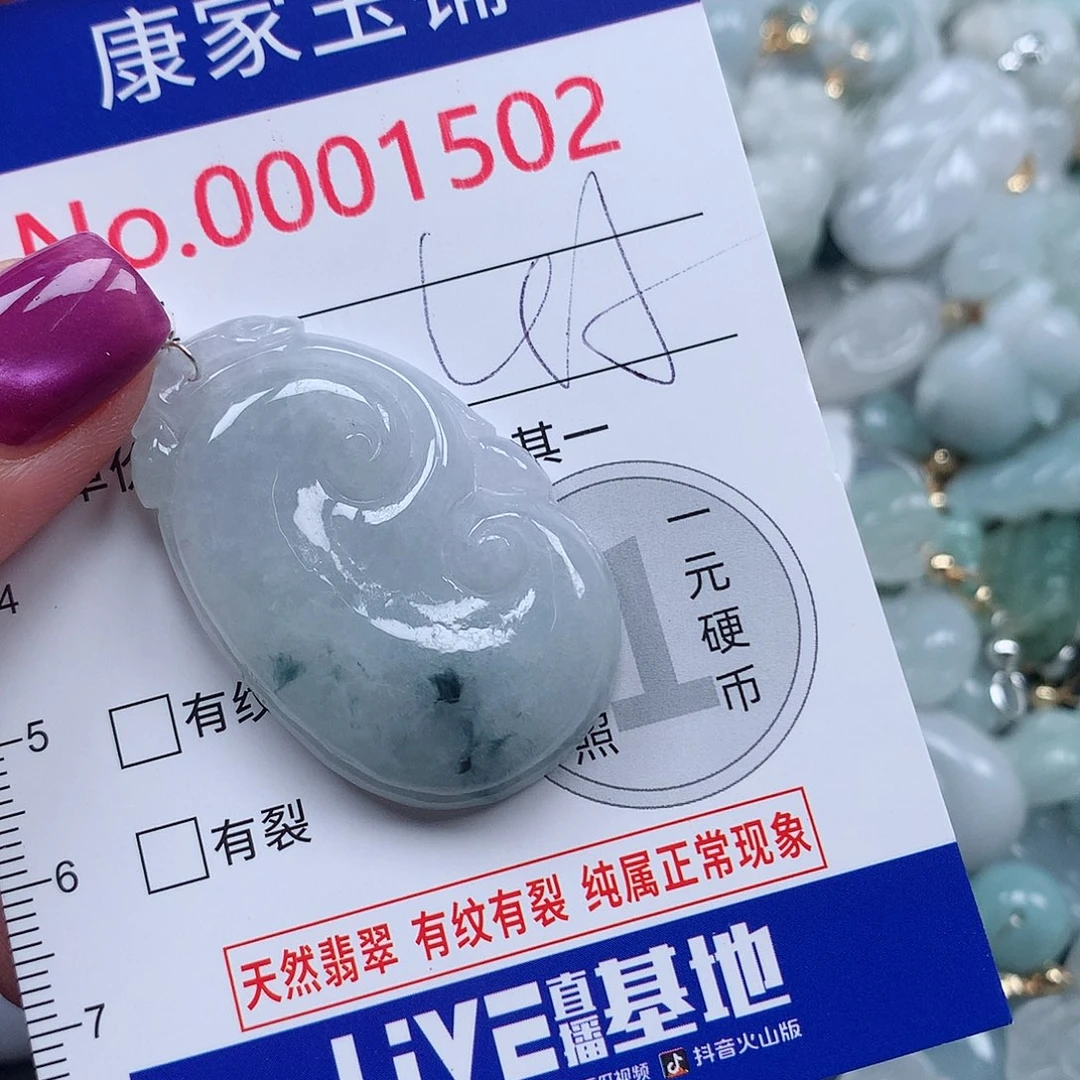 颈饰未镶嵌翡翠v