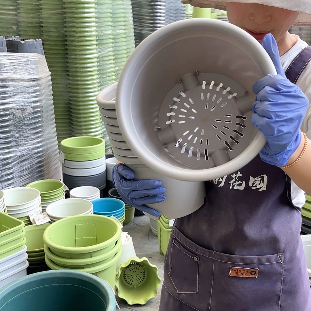 四季盆3#灰白色10个无托