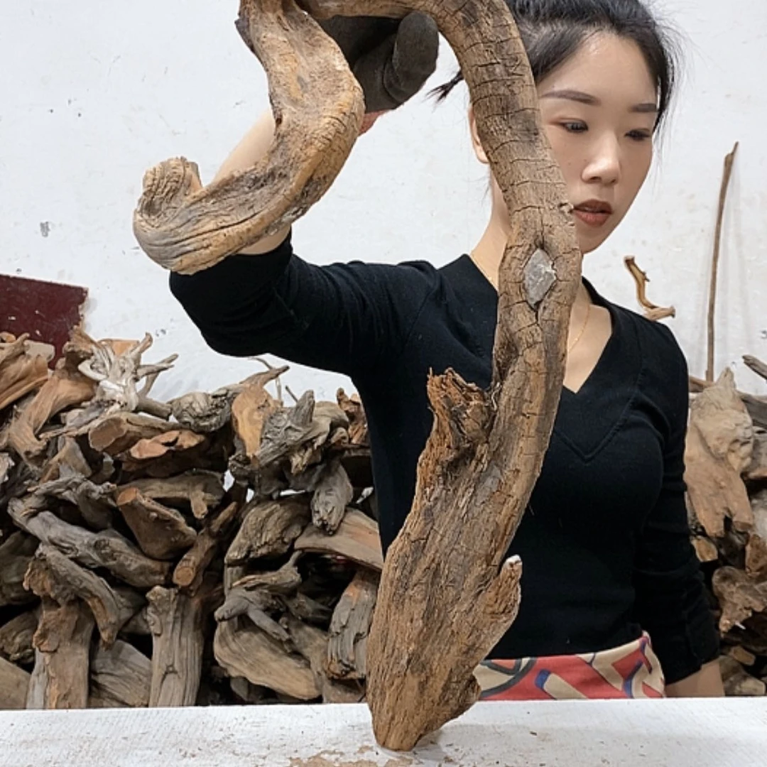 【闪购商品】柏木艺****销我们都是好孩子