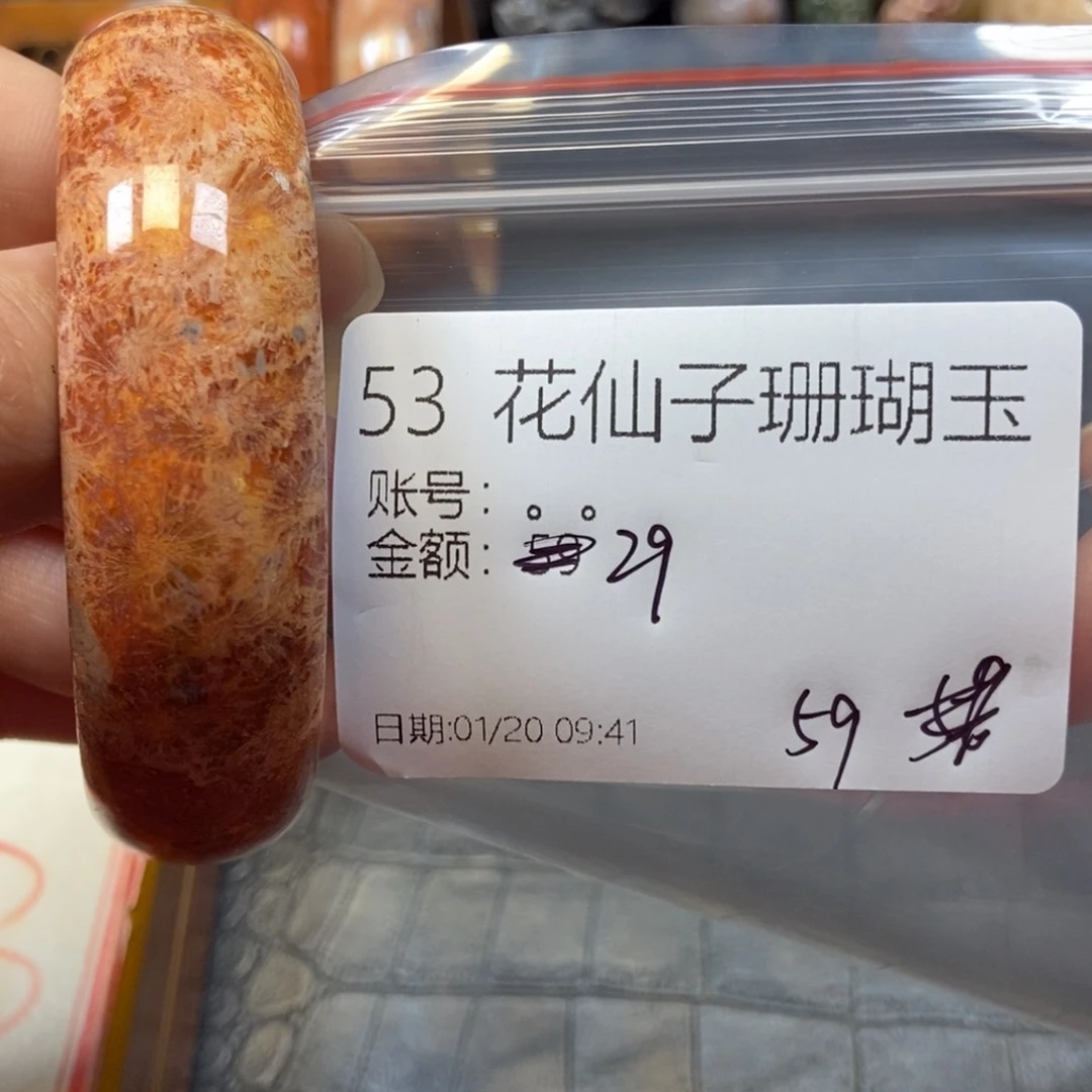 硅化珊瑚（珊瑚玉）手镯未镶嵌。*53