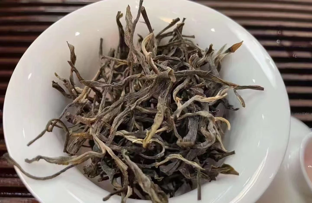 2023年南栋500年古树（生茶）（MD0174）--七七