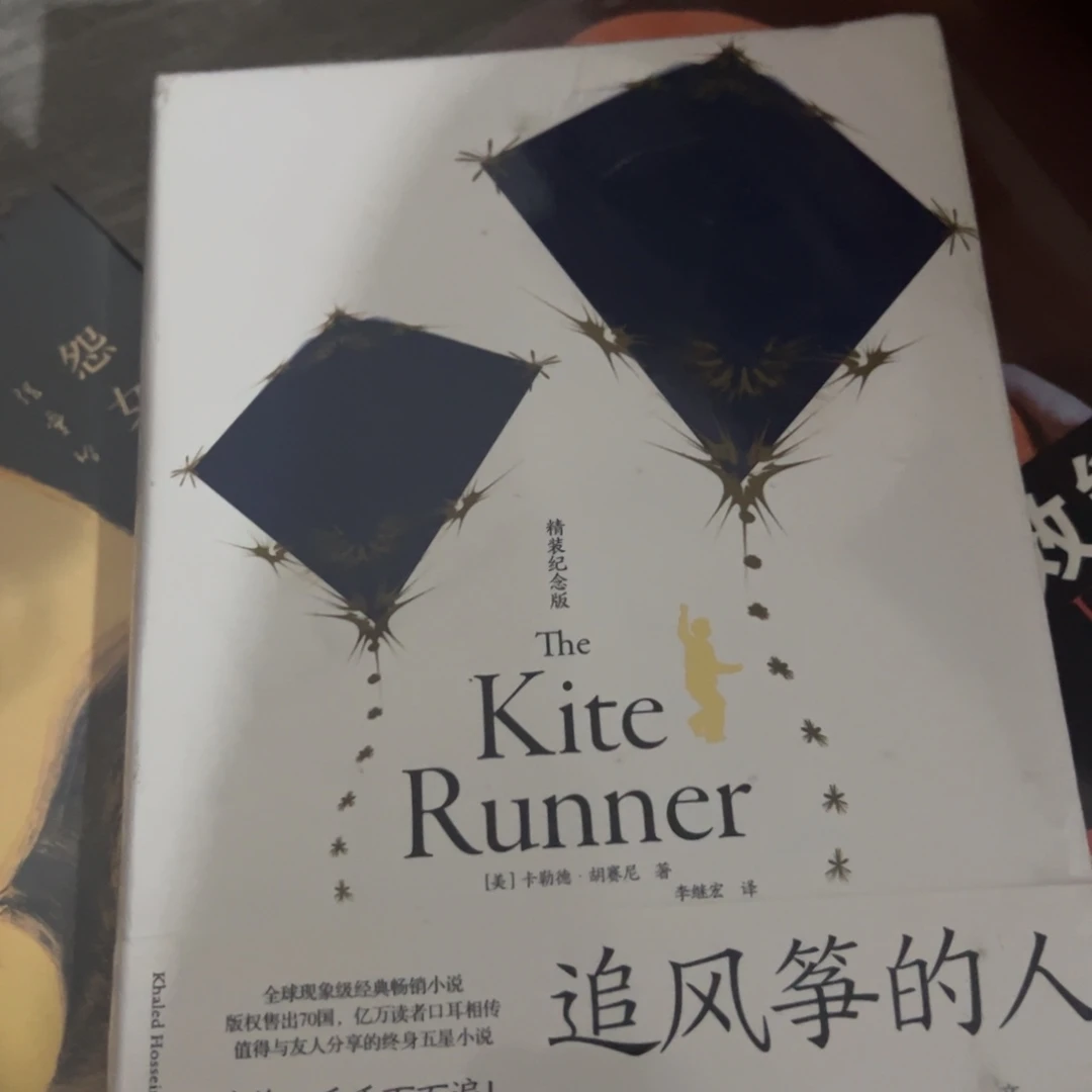 追风筝的人九米一个
