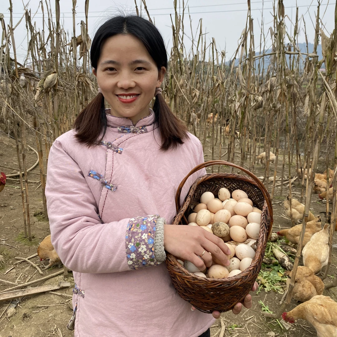 【土鸡蛋】农家散养鸡蛋