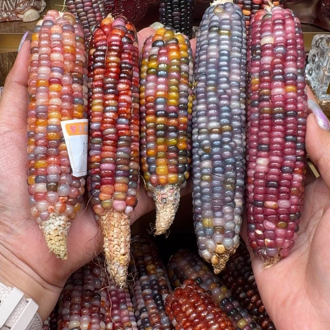 奶***酱柏香籽/百香籽吊坠