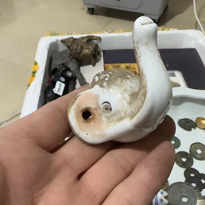*****扇子吃g个哥哥哈哈哈哈哈哈哈哈