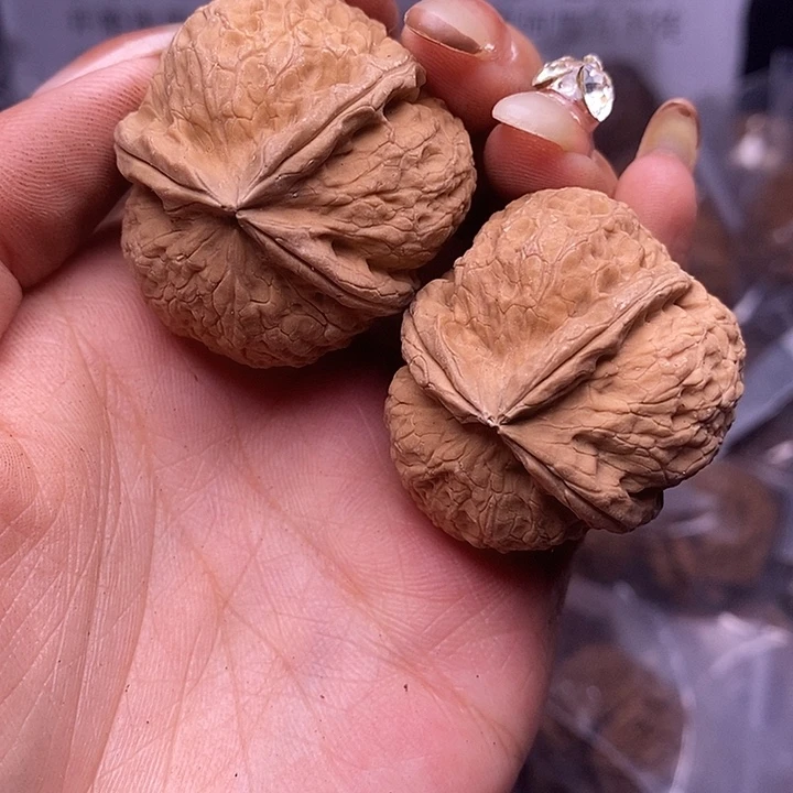 核桃云南野生铁核桃88号37mm