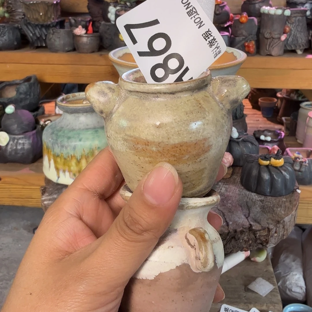 重庆小燕子欢迎大家867