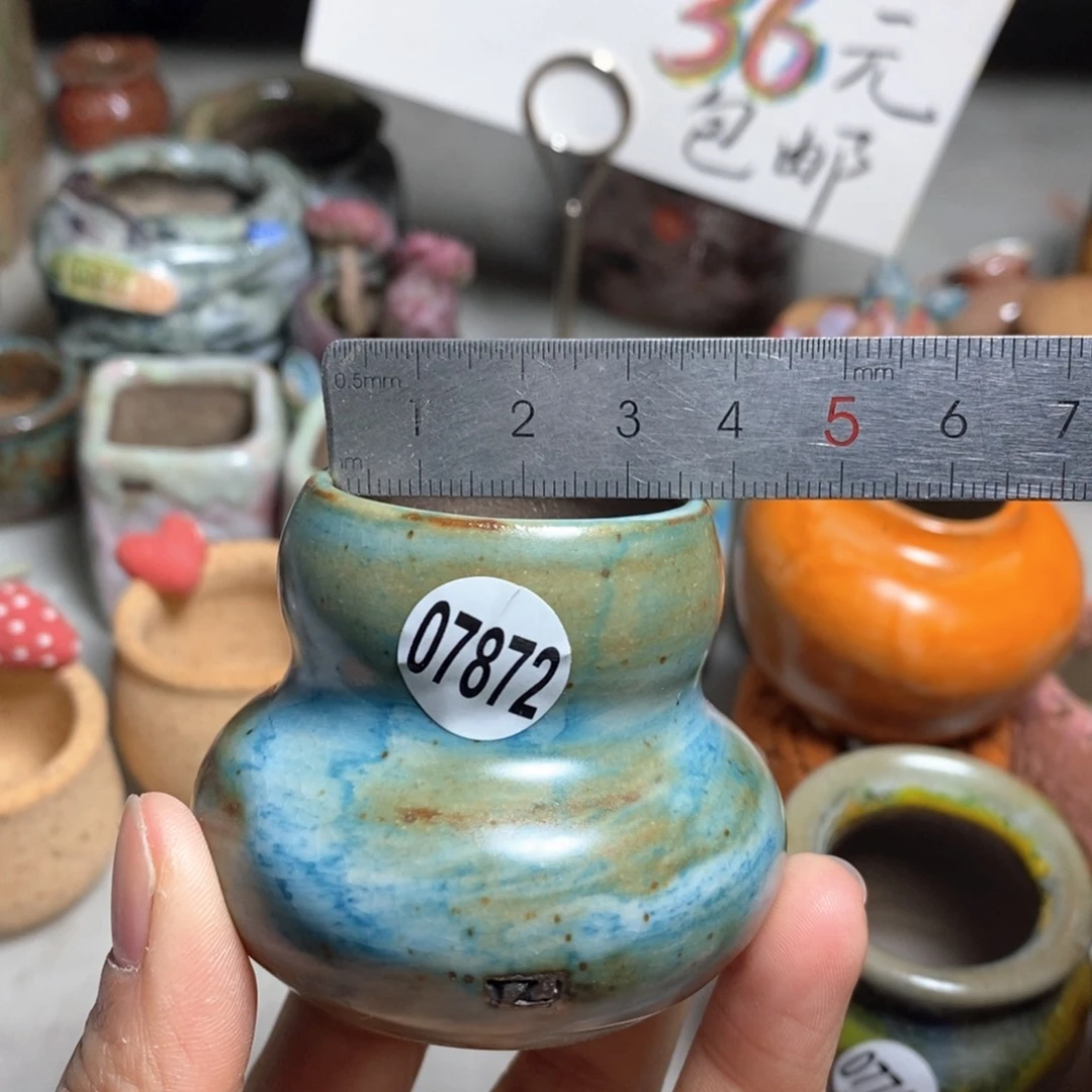 花盆拍5送一个小礼物