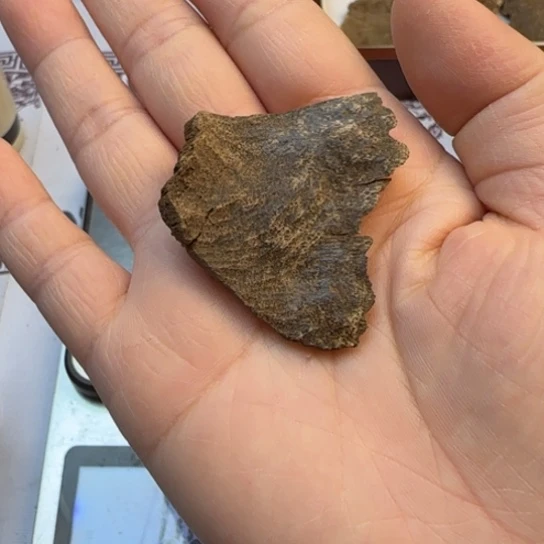 沉香摆件海南黎母山包头2.59克