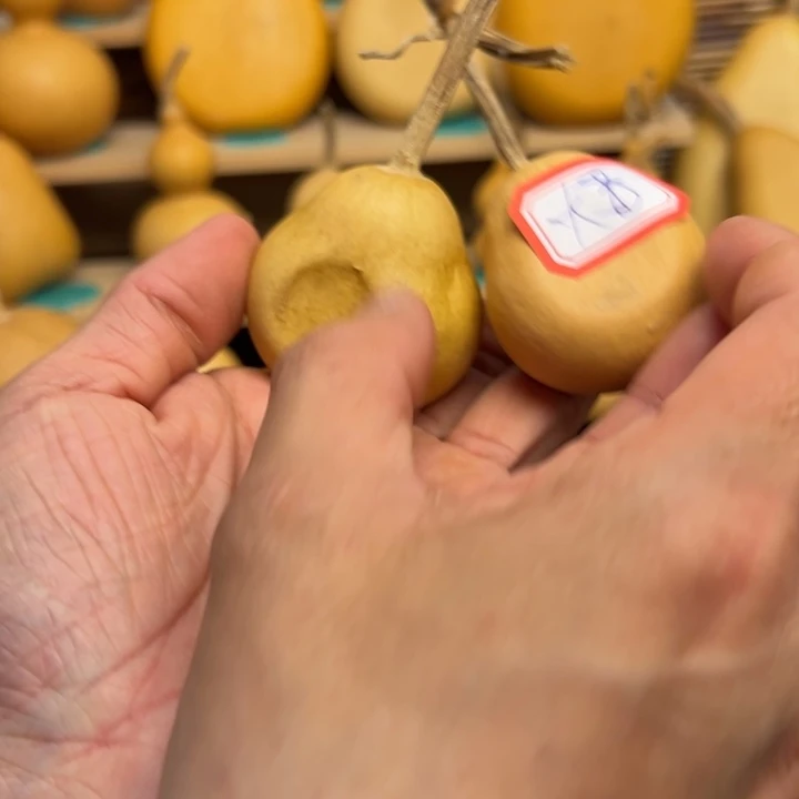 ?****好55666666666666699