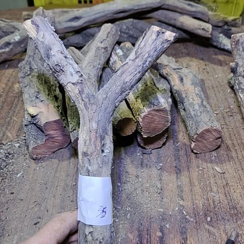 李***斗火琉璃原杈，不保沉水，慎拍！