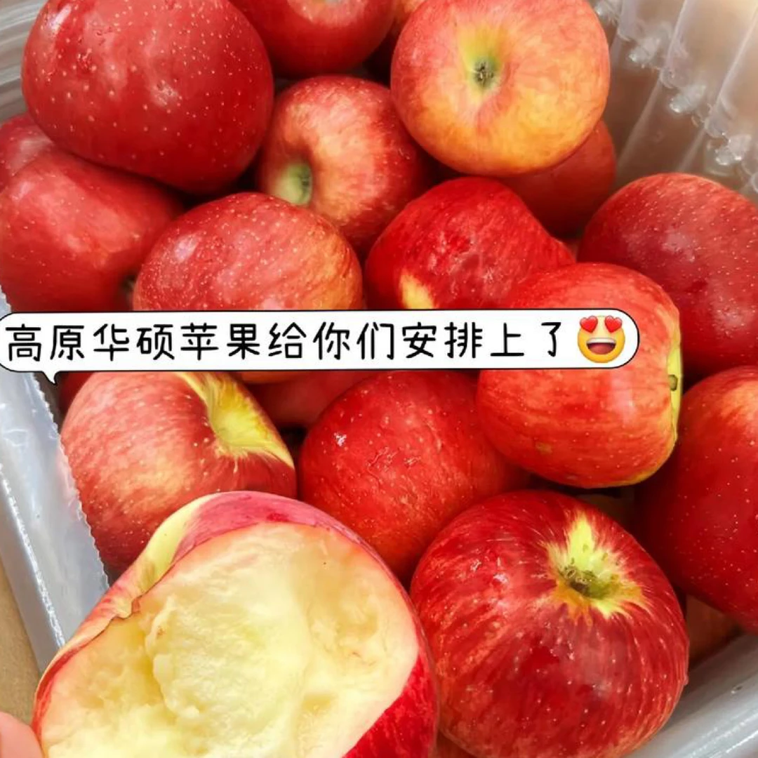 华硕苹果苗基地直发现挖现发基地苗品种有保障品种纯正易栽种天气