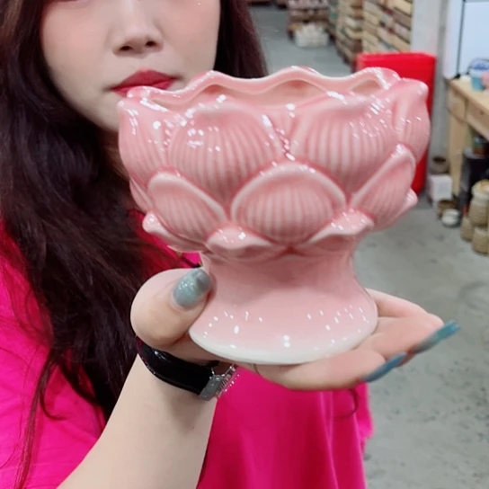花盆凑单福利满10元发货！