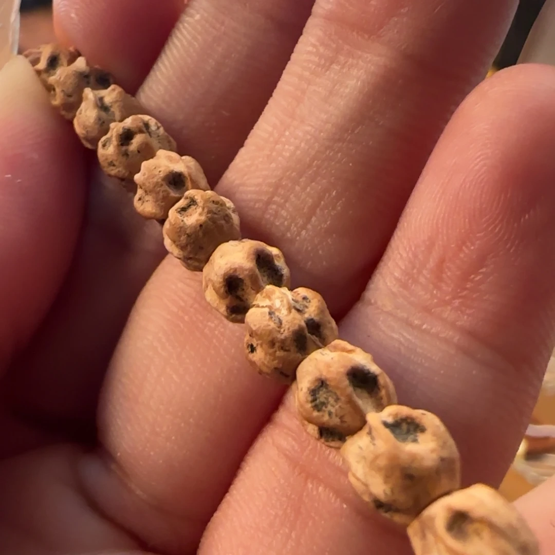手串柏香籽/百香籽游龙6左右