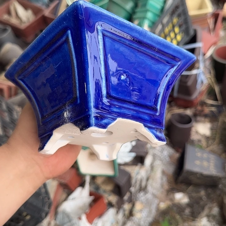 在家里也可以的哈你说