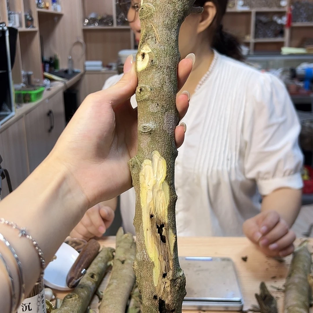 线香奇楠原材料1