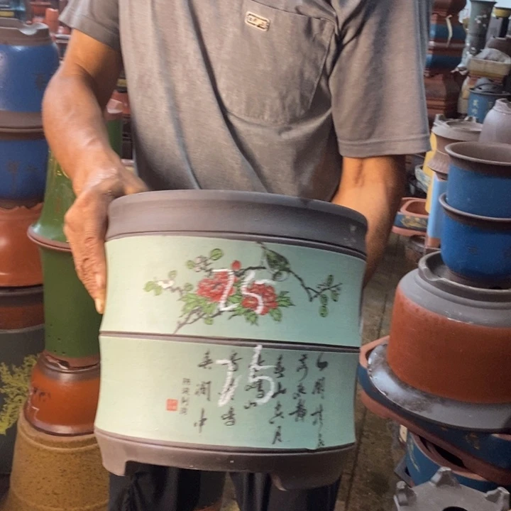 紫砂花盆盆栽花卉种植