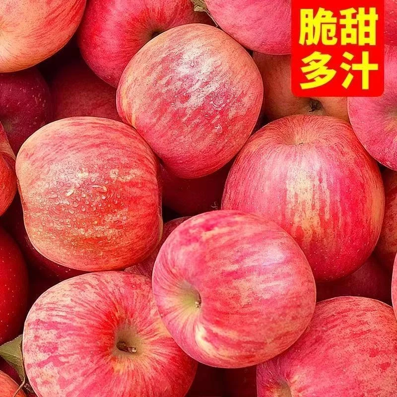陕西红富士苹果新鲜昭通蛇果苹果水果