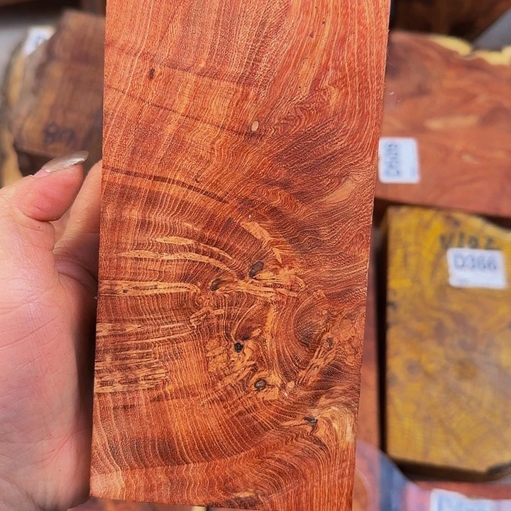 木优***o小叶羊蹄甲留疤料子