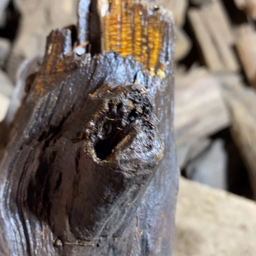 【闪购商品】手串贡木诺*私人订制