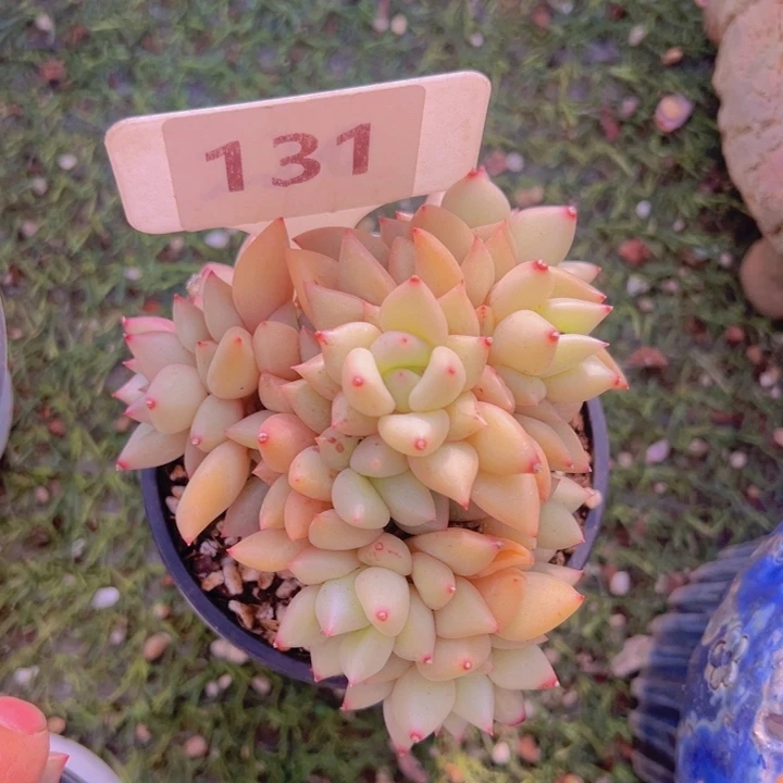 健健康康平平安安