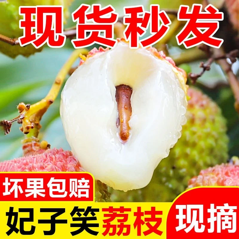 Z【顺丰冷链/EMS】高州老树妃子笑荔枝当季新鲜现摘核小现摘现发