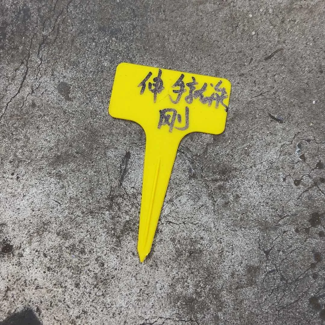 伸****光呜呜呜呜呜呜呜呜呜