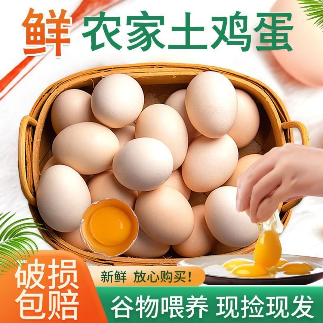 【拍25送25到手50枚】正宗新鲜现捡无抗散养正宗散养土鸡